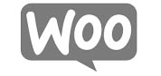 posicionamiento-web-mostoles-woocommerce
