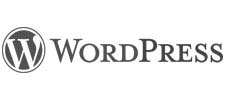 posicionamiento-web-mostoles-wordpress