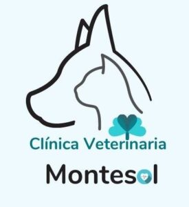 branding-madrid-veterinario